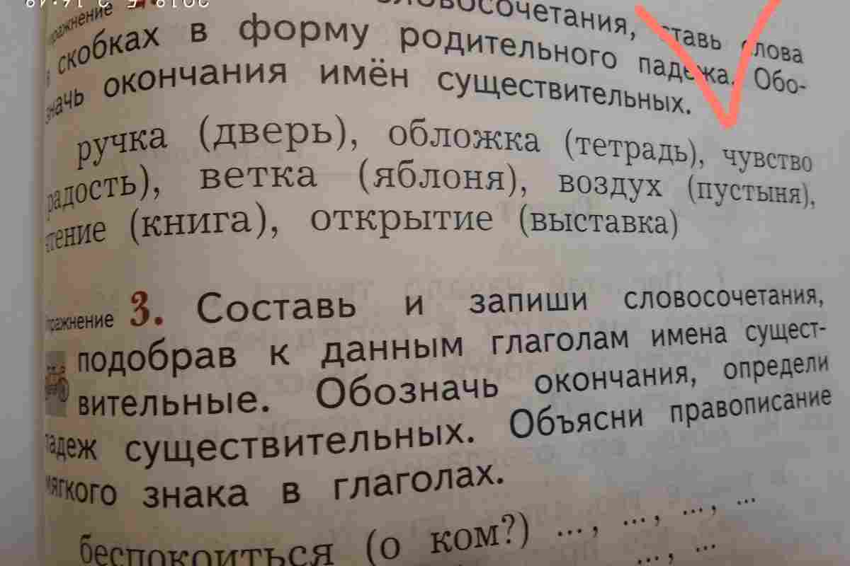Назва існуюча в російській мові: визначення, падежі, число, форми