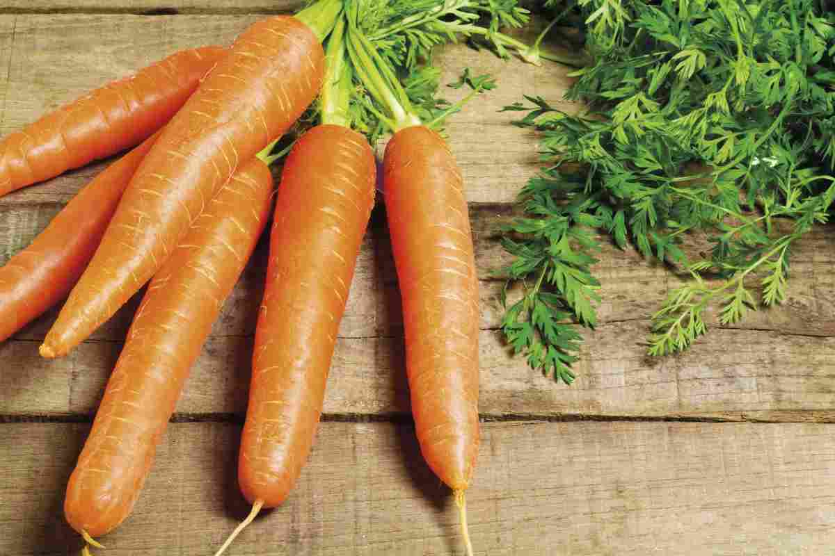 Скільки калорій у моркві