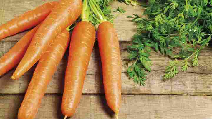Скільки калорій у моркві
