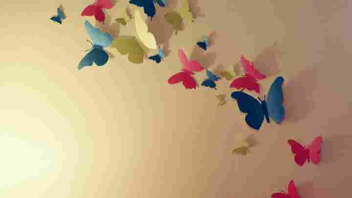 Метелики на стіні