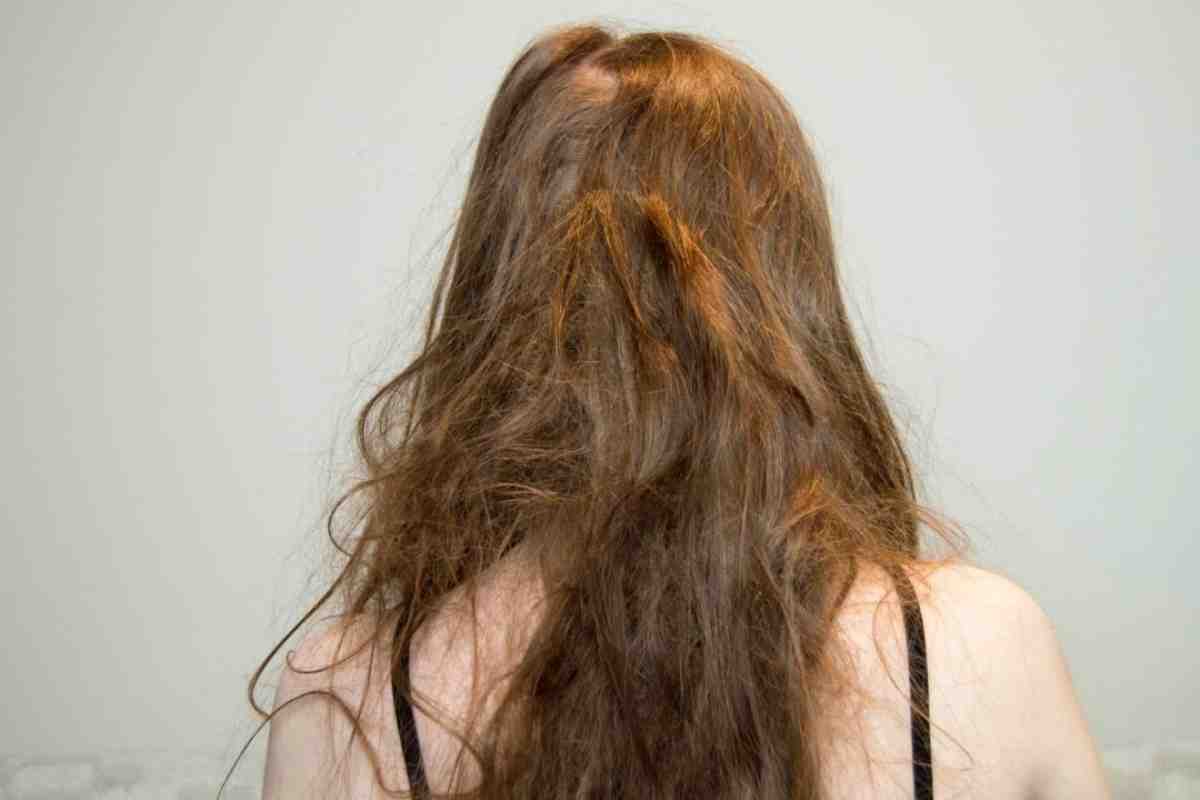 Довге волосся - дороге задоволення