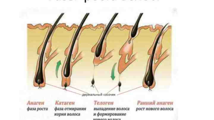 Як зупинити випадання волосся після пологів
