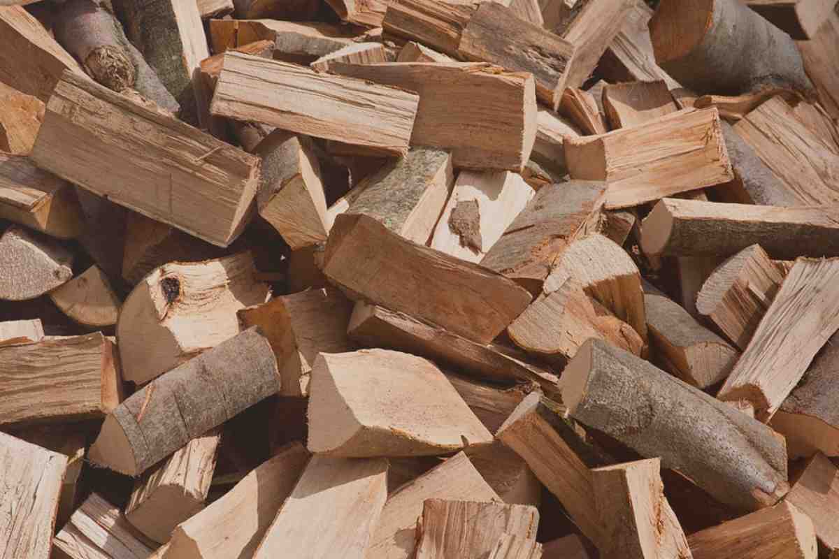 Какие породы деревьев самые лучшие дрова? 
