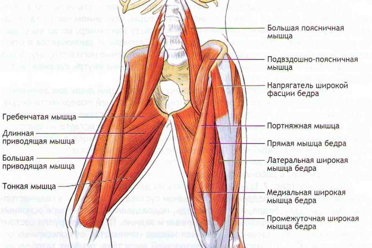 Як підтягнути внутрішню частину стегна