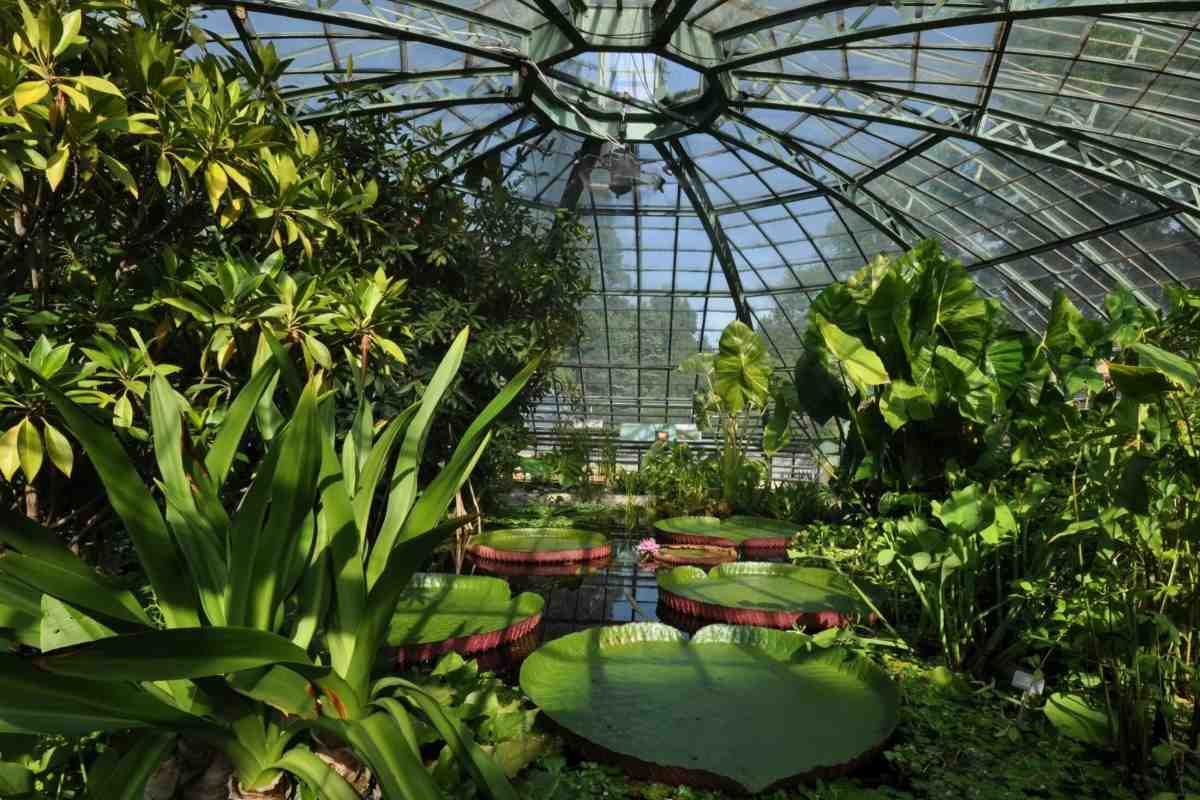 Ботанічний сад Женеви