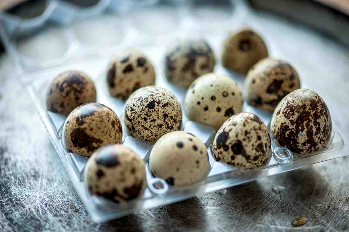 Корисні властивості перепелиних яєць
