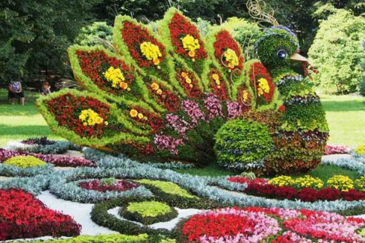15 квіткових спецефектів для прикрашання саду