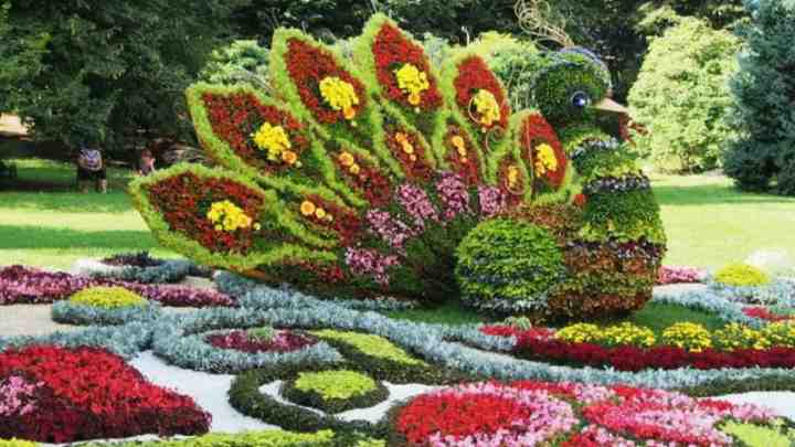 15 квіткових спецефектів для прикрашання саду