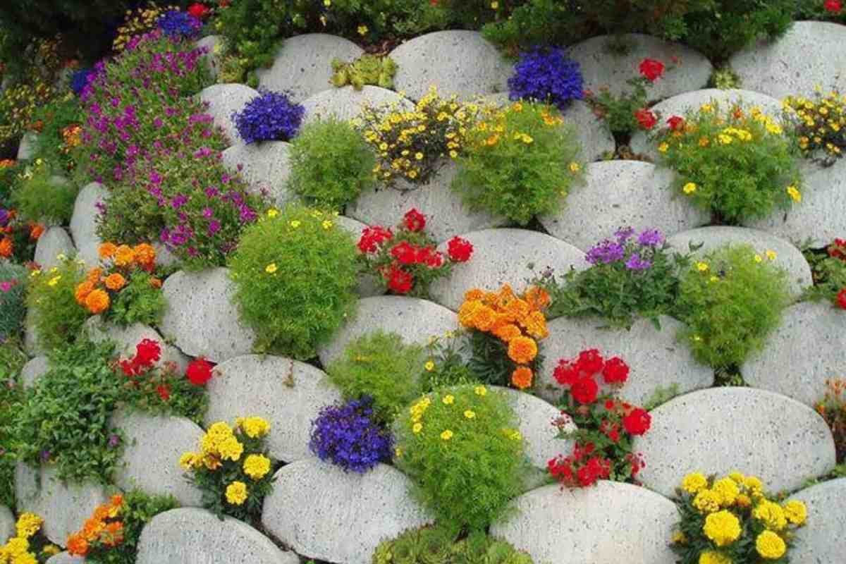 Якими рослинами можна прикрасити сад