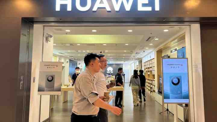 Компанія Huawei почне вирощувати свиней