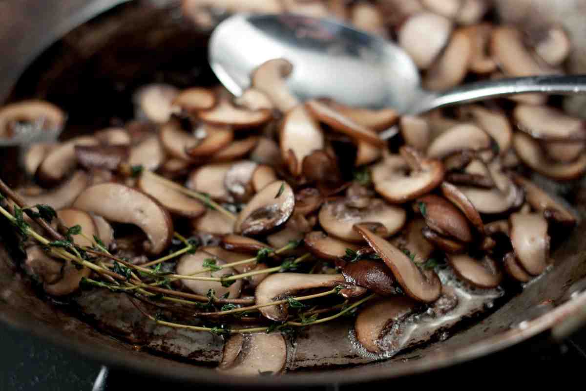 Як правильно готувати гриби рижики. Як правильно засолити рудики: гаряча і холодна засолка