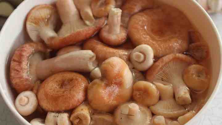 Рецепти приготування рижиків грибів. Способи приготування рижиків